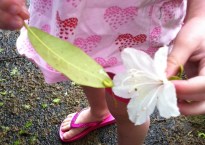 A five-year-old girl tickles a caterpillar with a flower.