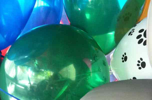 bunch of colorful balloons smashed together. Hint of a car seat below them.