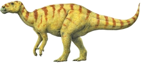 Iguanodon. Note that the dinosaur stands above the ground, not low to it. Also the horn is now thought to be a thumb spike. (Image source: Q-files Encyclopedia.)