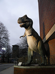 The T. Rex stationed outside the Boston Museum of Science stands upright on his back legs. Pretty stocky guy too.