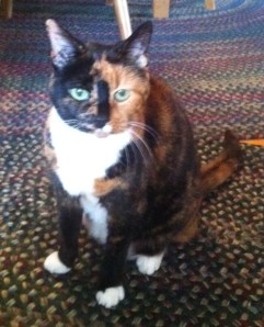 MulberryonTheGreenRug