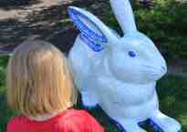 A five year old looks at a mostly white bunny, with blue ringed ears and feet.