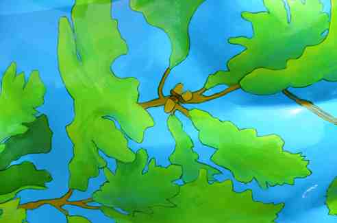 Closeup of the branches, leaves, and acorns. 