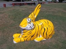 BengalBunnyDedhamShines