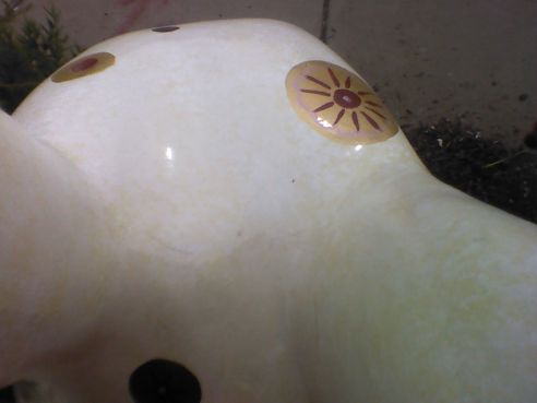 A view of the top of Regal Rabbit's head. 