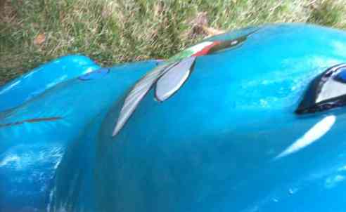 BunnyEyeView2 A side view of the front of Not So Silent Spring's face. There's a hint of eye and the wings of a hummingbird.