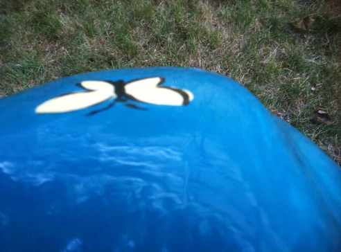 ButterflySmaller Someone's got a painted butterfly on their head.