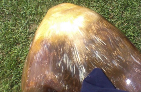 Top of the Mother Rabbit's head. Mostly a vision of realistically painted fur.