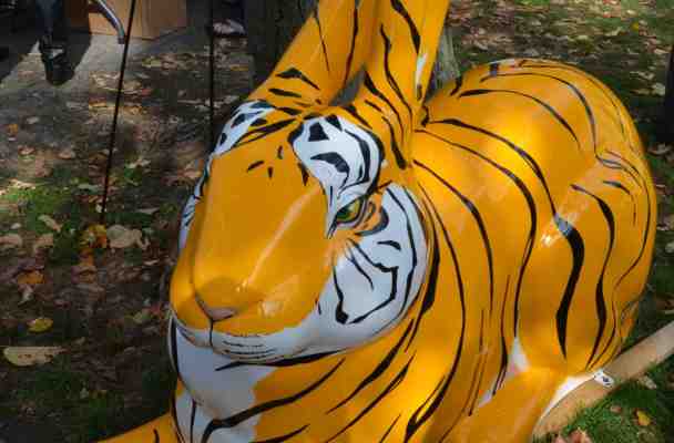 The Bengal Bunny is a giant fiberglass bunny painted to look like a Bengal tiger.