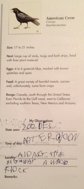 BirdwatchingInsidePage