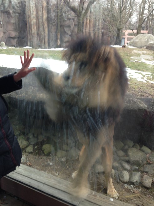 (Photo: Shala Howell)