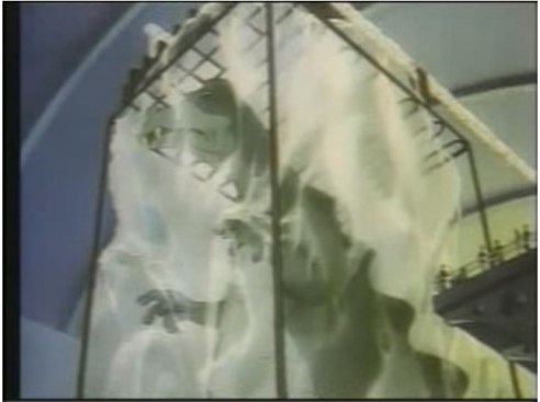 Frozen T. Rex on exhibit. (Public Domain)