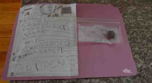 The Six-Year-Old's file on the Case of the Bizarrely Large Acorn. (Photo: Shala Howell)