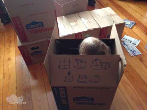 Every once in a while, it becomes quite obvious that The Six-Year-Old was at least partially raised by cats. (Photo: Shala Howell)