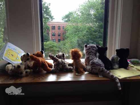 The Six-Year-Old's cubs take in the view from our window. I'm told they are tasked with alerting The Six-Year-Old should playing break out on the meadow below. 