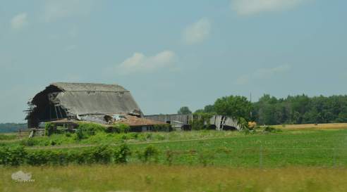 This barn required a whole new category, as decrepit didn't seem to quite cover it. We went with devastated. (Photo: Shala Howell)