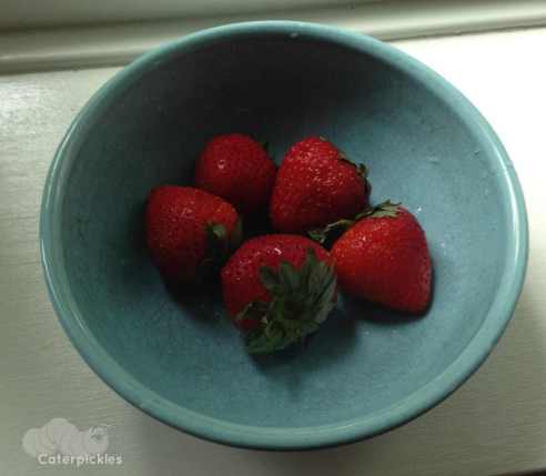 The last of our provisions. 