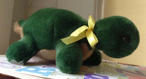 (Photo: Shala Howell)