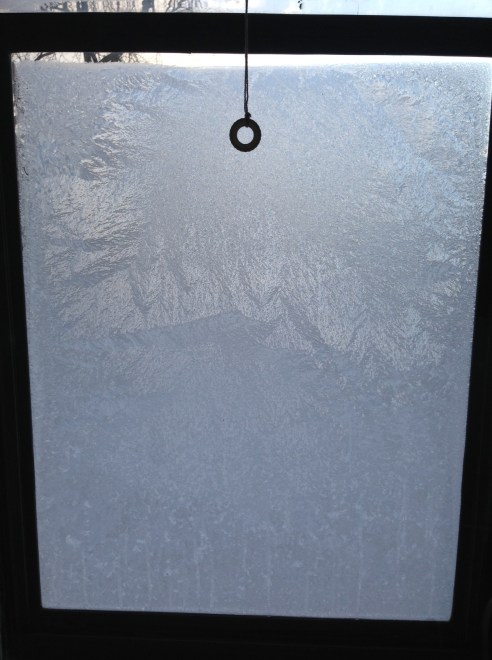 (Photo: Shala Howell)