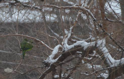 (Photo: Michael Howell)