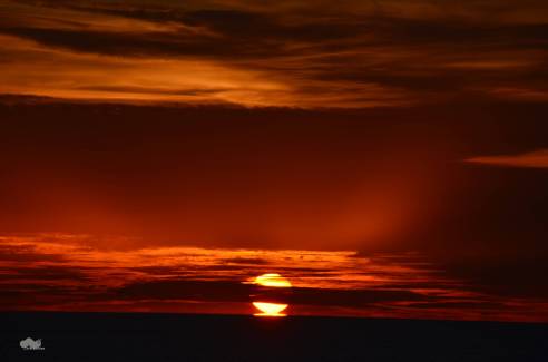 (Photo: Michael Howell)