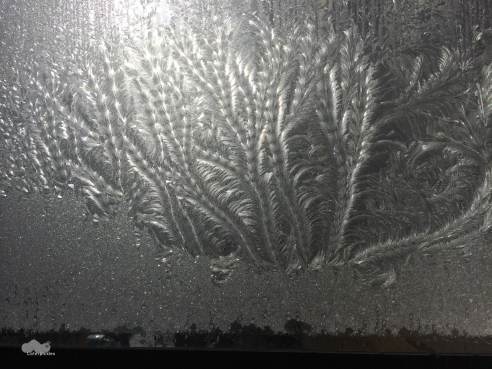 (Photo: Michael Howell)