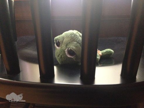 Here's hoping it's a short sentence. (Photo: Shala Howell)