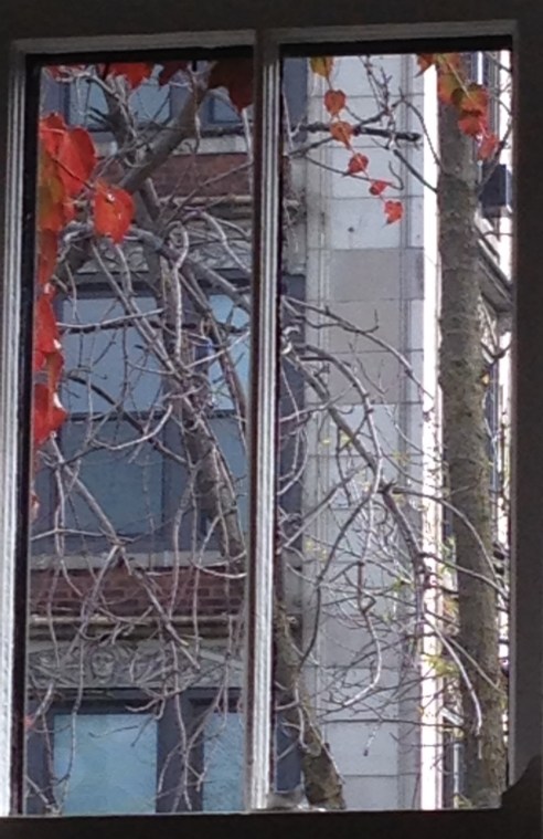 (Photo: Shala Howell)