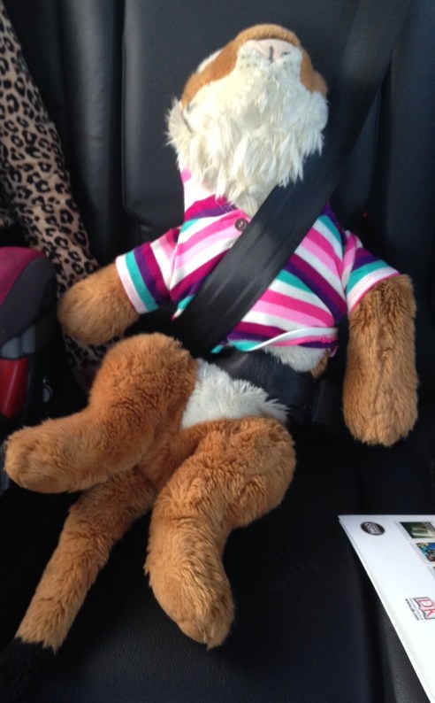 (Photo: Shala Howell)