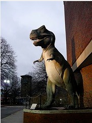 Old-timey T. Rex at the Boston Museum of Science. (Photo: Kasuga Sho)