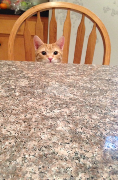 (Photo: Shala Howell)