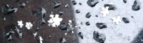 (Photo: Shala Howell)