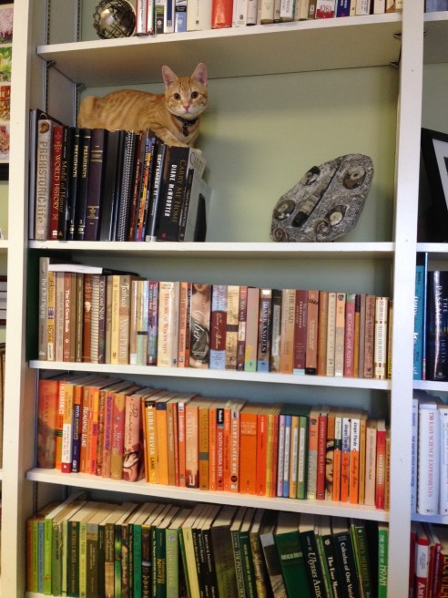 (Photo: Shala Howell)