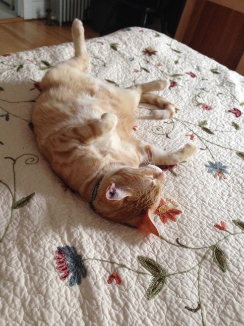 (Photo: Shala Howell)