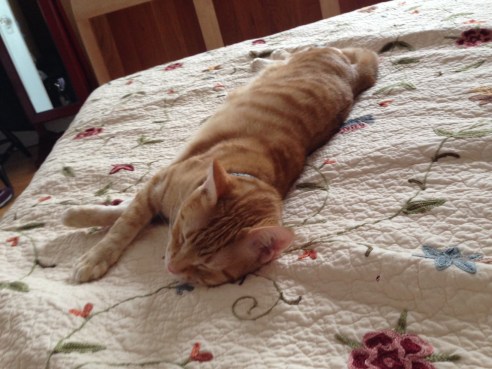 (Photo: Shala Howell)