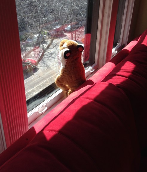 (Photo: Shala Howell)