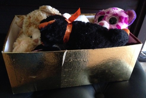 Shh! They're sleeping. Finally. (Photo: Shala Howell)