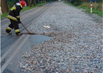 worker using a broom to push fish to the side of the road