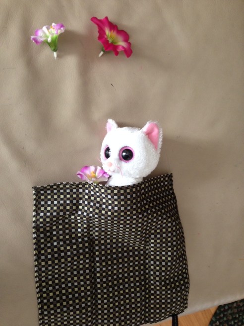 (Photo: Shala Howell)