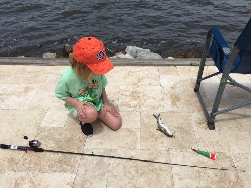 (Photo: Barbara Howell) 