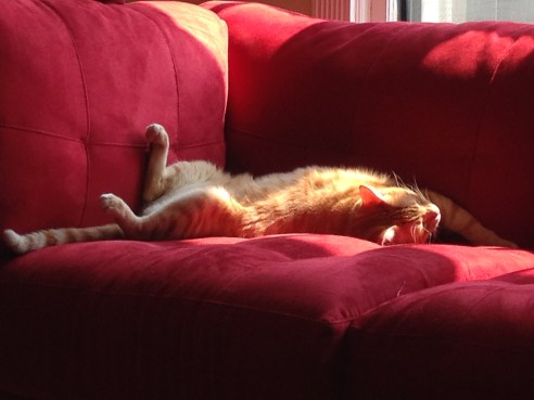 (Photo: Shala Howell)