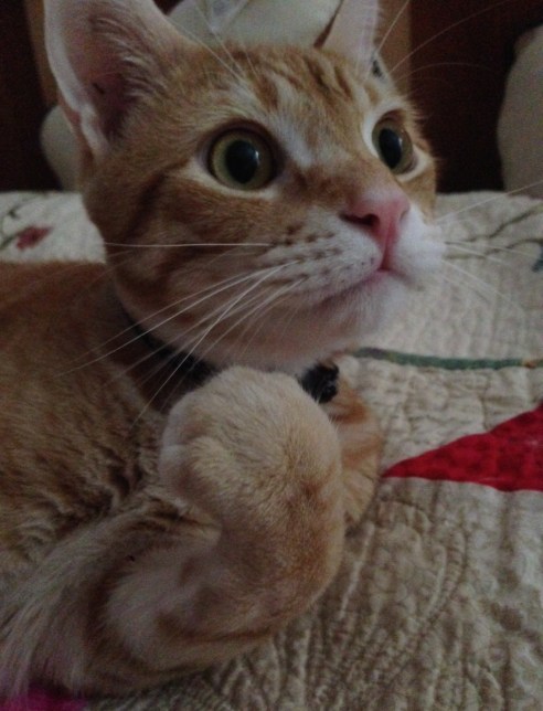 "Wait, what? You are not going to make me do that, are you?"