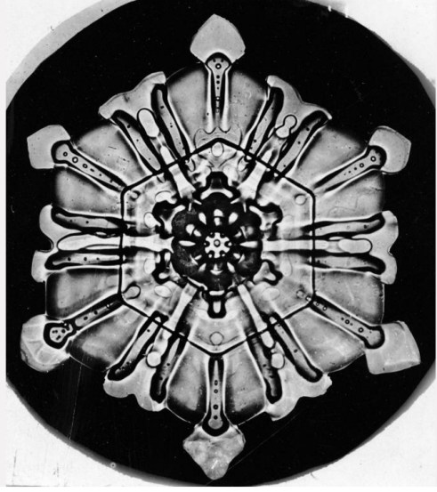 (Photo: Wilson Bentley, 1923. Courtesy of National Geographic.)