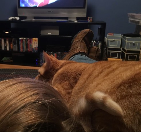 (Photo: Michael Howell)