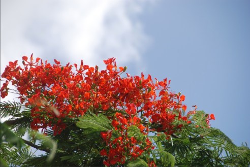 (Photo: Michael Howell)