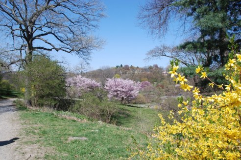 (Photo: Michael Howell)