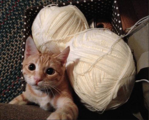 An orange kitten -- a very young Canelo -- in a basket of cream-colored yarn. He's clearly darker than the yarn.