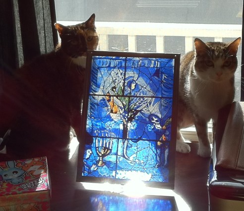 A clowder of Howell cats on a desk. (Mulberry & Cozy, circa 2012. Photo: Either Michael or Shala Howell.)