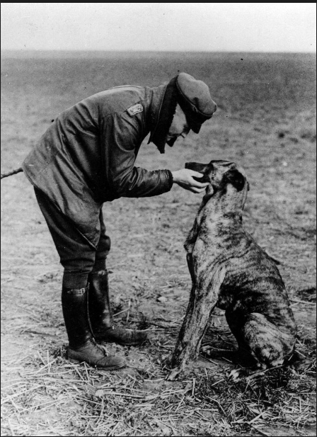 A man in WWI flying gear caresses the face of a tall, skinny dog.