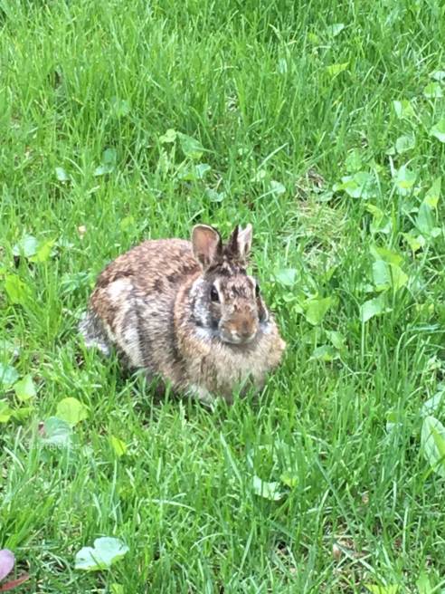 (Photo: Shala Howell)